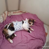Фото Александра Шихова для АСП.Ньюс