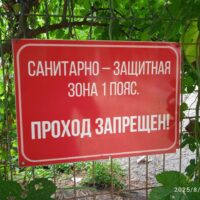 фото Александра Шихова для АСП Ньюс