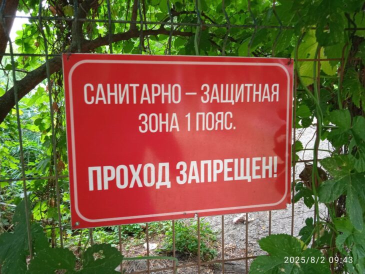 фото Александра Шихова для АСП Ньюс