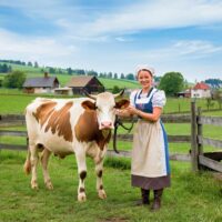 Фото сделано с помощью gigachat