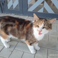 фото Александра Шихова для АСП Ньюс