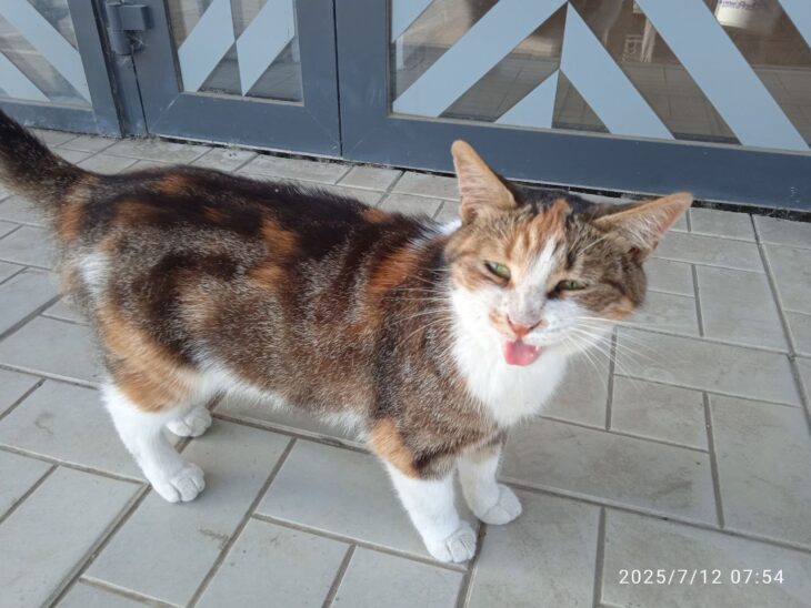 фото Александра Шихова для АСП Ньюс