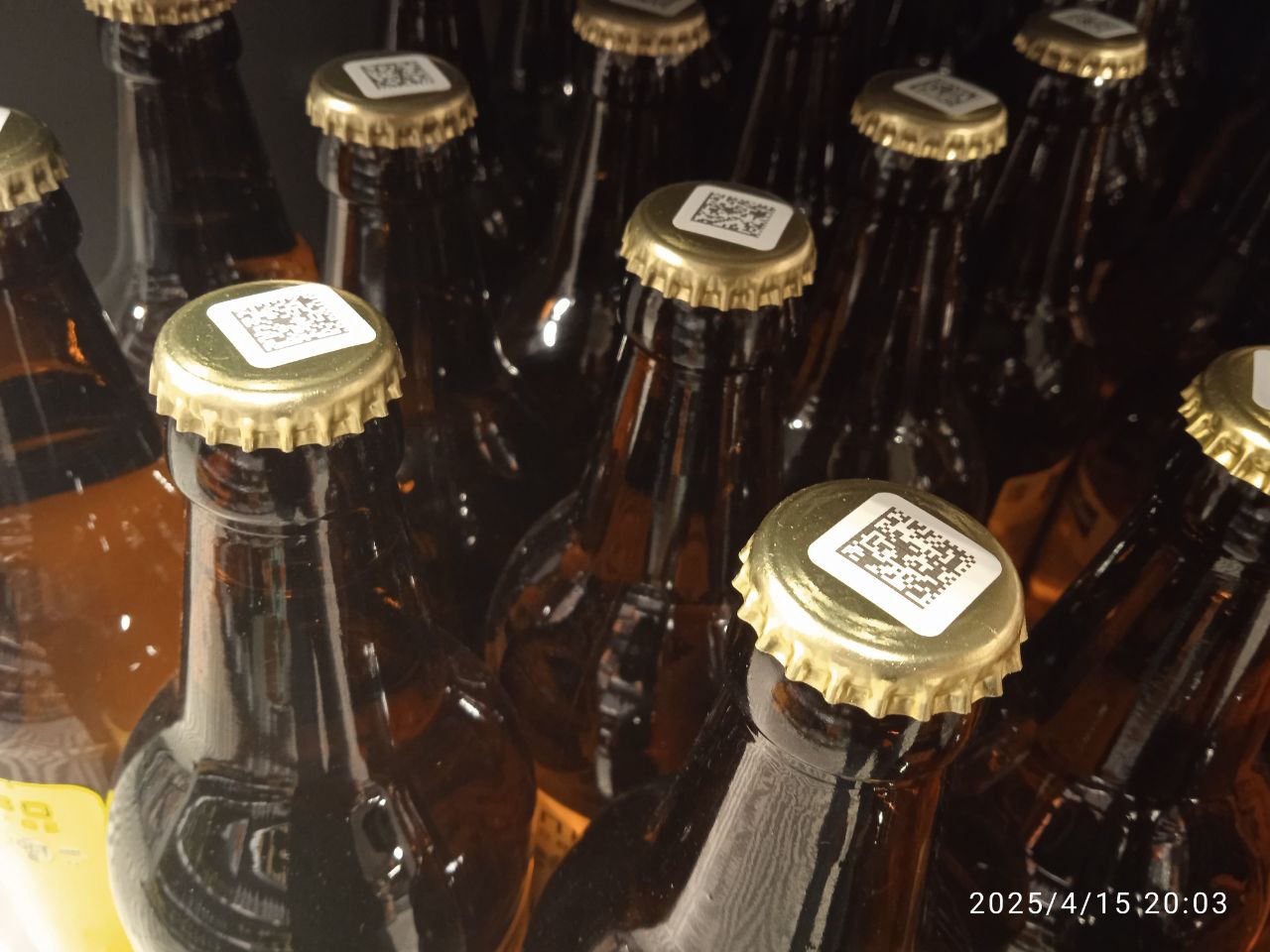 фото Александра Шихова для АСП Ньюс