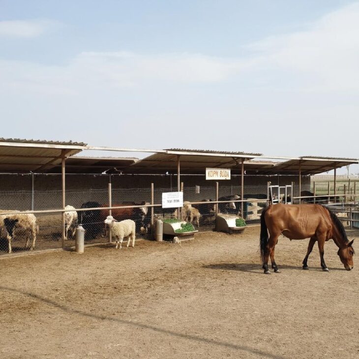 Фото сделано с помощью gigachat