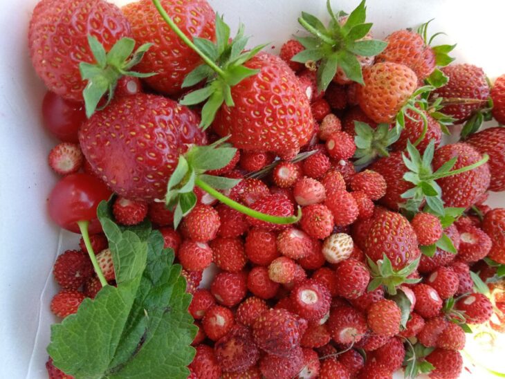 Фото Александра Шихова для АСП.Ньюс