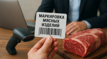 изображение сделано с помощью chatgpt