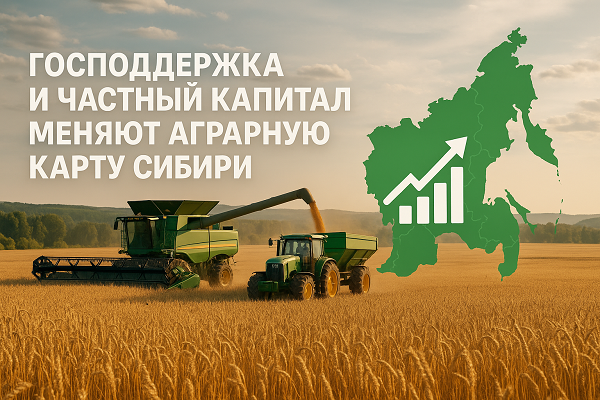 изображение сделано с помощью chatgpt