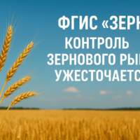 изображение сделано с помощью https://chatgpt.com