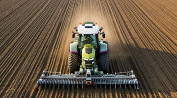 Фото сделано с помощью gigachat