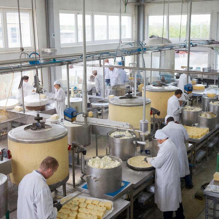 Фото сделано с помощью gigachat