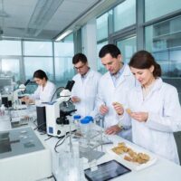 Фото сделано с помощью gigachat