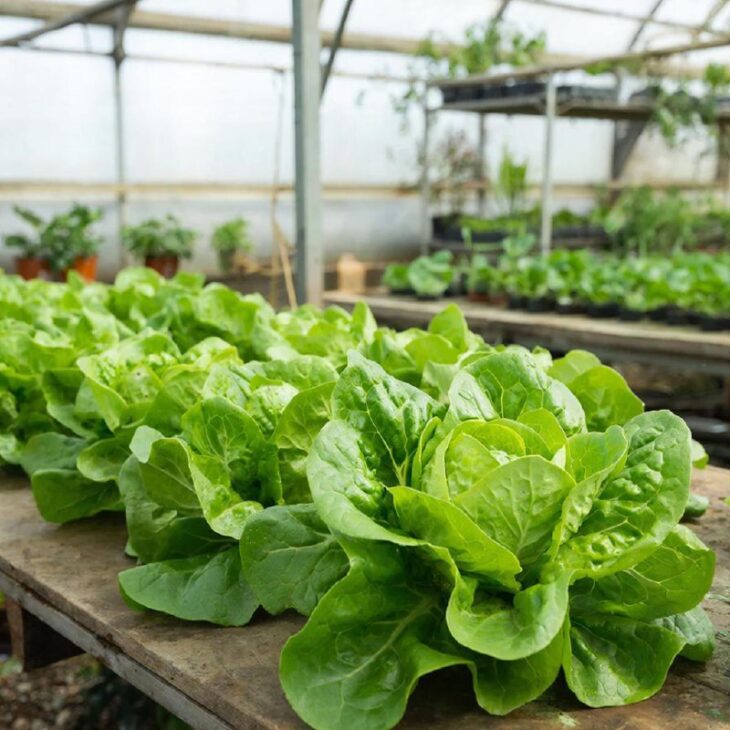 Фото сделано с помощью gigachat