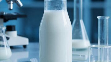 Фото сделано с помощью gigachat