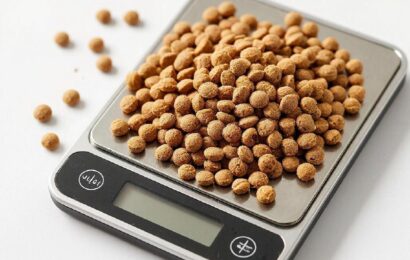 Фото сделано с помощью gigachat