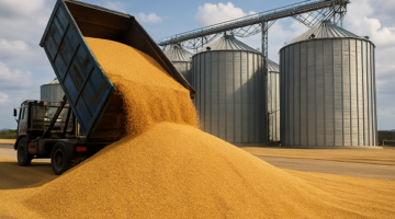 изображение сделано с помощью chatgpt