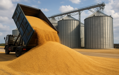 изображение сделано с помощью chatgpt