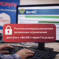 изображение сделано с помощью chatgpt