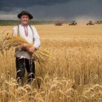 Фото сделано с помощью gigachat