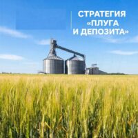 изображение сделано с помощью chatgpt