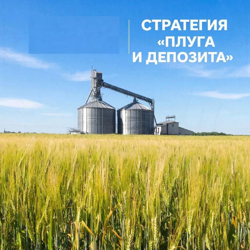 изображение сделано с помощью chatgpt