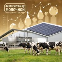 Фото сделано с помощью gigachat