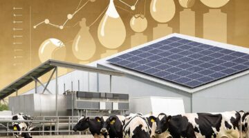 Фото сделано с помощью gigachat