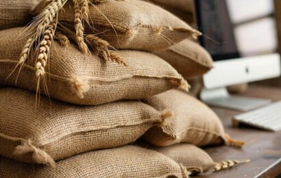 Фото сделано с помощью gigachat