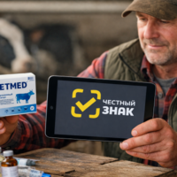 изображение сделано с помощью chatgpt