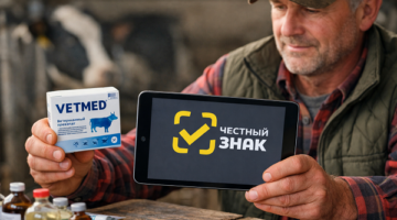 изображение сделано с помощью chatgpt