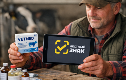 изображение сделано с помощью chatgpt