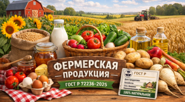 изображение сделано с помощью chatgpt