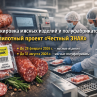 изображение сделано с помощью chatgpt