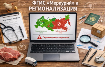 изображение сделано с помощью chatgpt