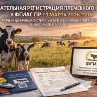 изображение сделано с помощью chatgpt