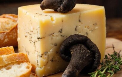 Фото сделано с помощью gigachat