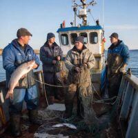 Фото сделано с помощью gigachat