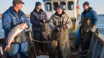 Фото сделано с помощью gigachat