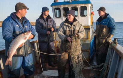 Фото сделано с помощью gigachat