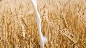 Фото сделано с помощью gigachat