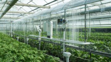 Фото сделано с помощью gigachat