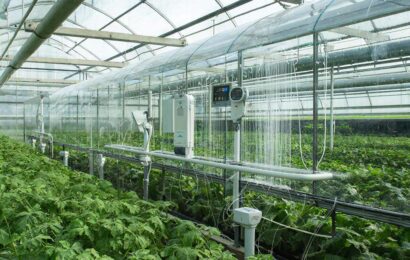 Фото сделано с помощью gigachat