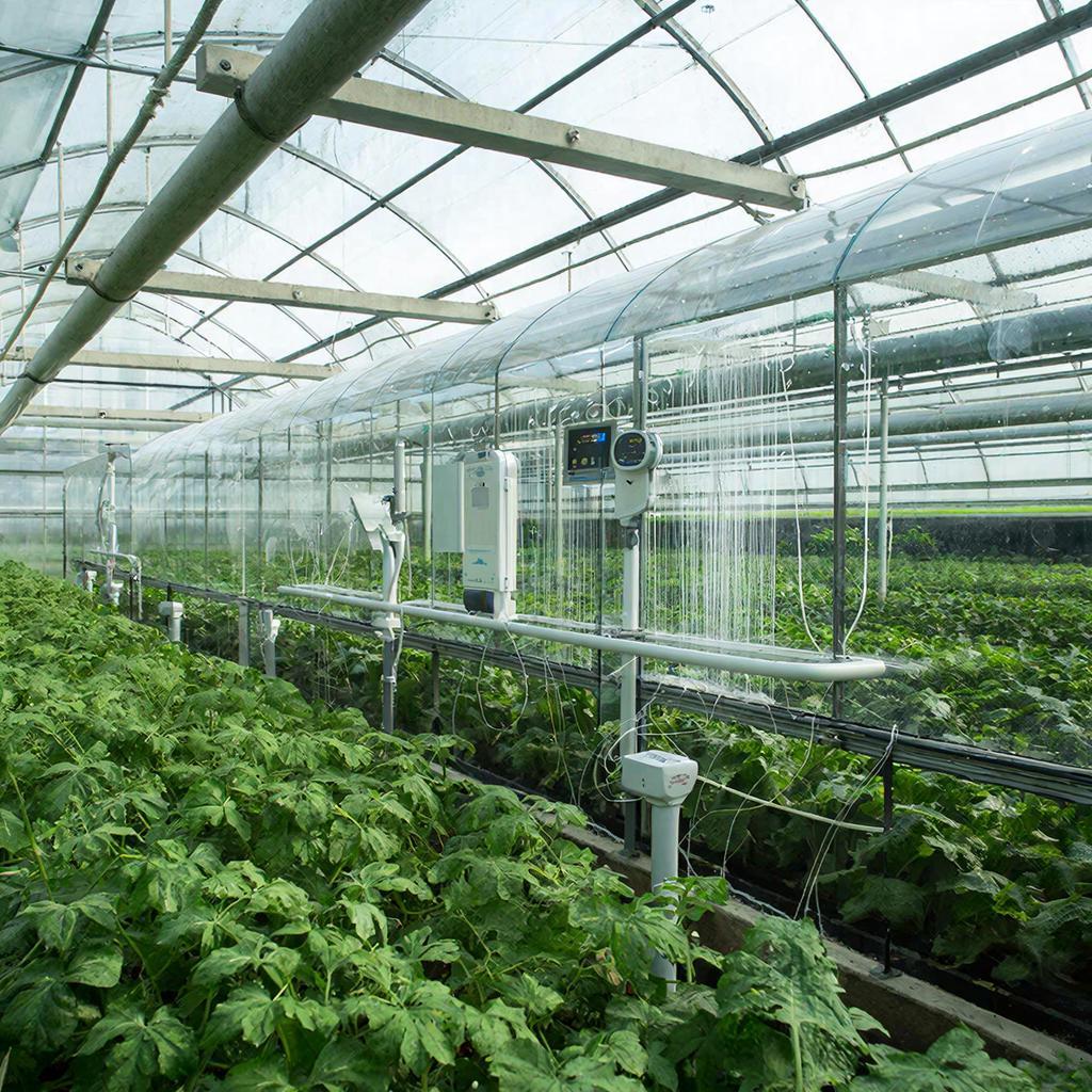 Фото сделано с помощью gigachat