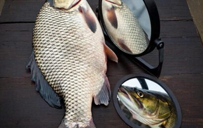 Фото сделано с помощью gigachat