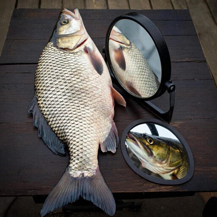 Фото сделано с помощью gigachat