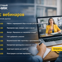 изображение сделано с помощью chatgpt