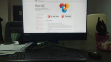 Фото Александра Шихова для АСП Ньюс