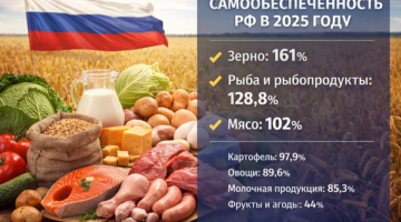 изображение сделано с помощью chatgpt