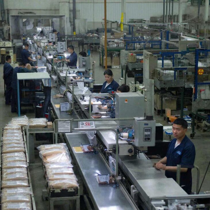 Фото сделано с помощью gigachat