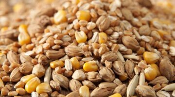 Фото сделано с помощью gigachat