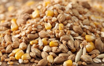 Фото сделано с помощью gigachat